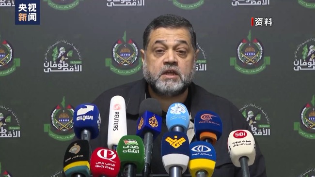 哈马斯方面称4日将抵达开罗就停火问题进行谈判插图